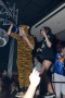 Thumbs/tn_Wagenmakersbal 2015 509.jpg